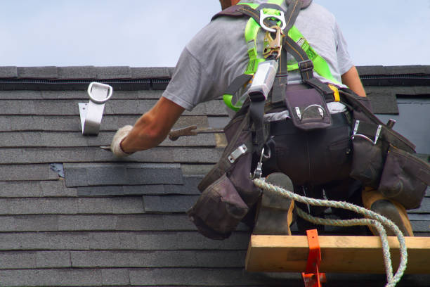 Best Metal Roofing Contractor  in Lake Wilderness, VA