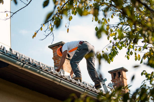 Quick and Trustworthy Emergency Roof Repair Services in Lake Wilderness, VA
